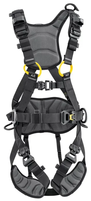 VOLT LIGHT International Version