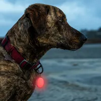 SpotLit® Splash™ Waterproof Rechargeable Collar Light - Disc-O Tech