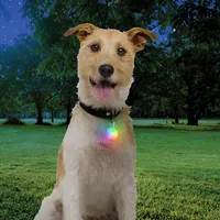 Spotlit® Rechargeable Collar Light