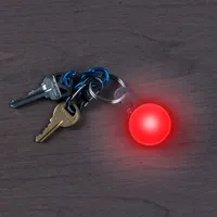 SpotLit™ Carabiner Light
