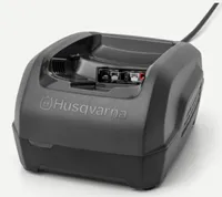Charger ICX