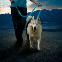 NiteDog™ Rechargeable LED Leash - Blue/Blue LED
