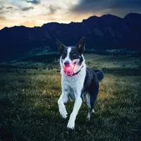 GlowStreak™ LED Ball - Red