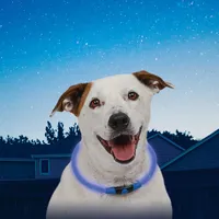 NiteHowl™ LED Safety Necklace - Blue