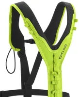 TreeRex Bungee Chest