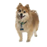 S-Biner® TagLock™ - Black