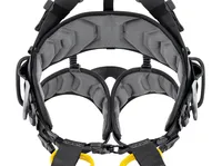 VOLT International Version