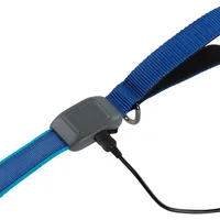 NiteDog™ Rechargeable LED Leash - Blue/Blue LED