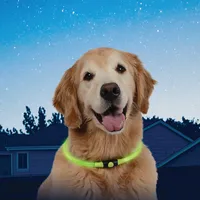 NiteHowl™ LED Safety Necklace - Green