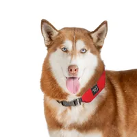 RadDog, Red, Large