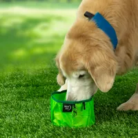 RadDog Collapsible Bowl