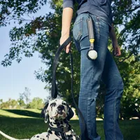 Huck 'N Tuck™ GlowStreak® Collapsible Thrower + LED Ball