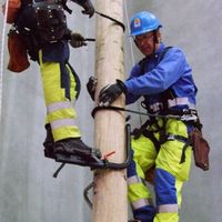 Power Industry Tree Pole
