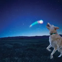 Huck 'N Tuck™ GlowStreak® Collapsible Thrower + LED Ball