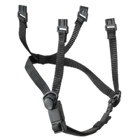 Chin-X 250