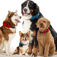 RadDog, Red, Large