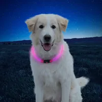NiteHowl™ LED Safety Necklace -  Pink