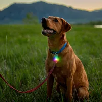 Spotlit® Rechargeable Collar Light