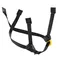 Dual Chinstrap